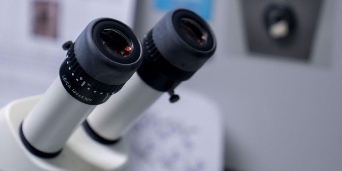 Microscope Digital Cameras Market Scenario Highlights Current Opportunities, Innovations, and Regional Growth Patterns