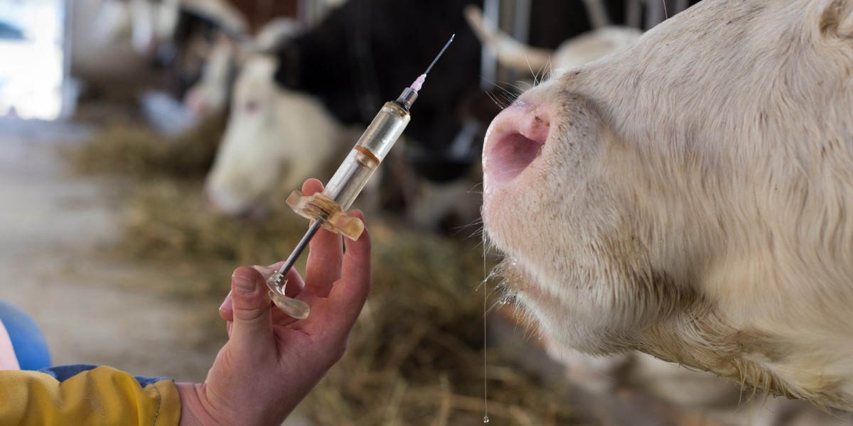 Cattle and Sheep Vaccine Market Struggles with Resistance and Regulatory Hurdles Across Regions