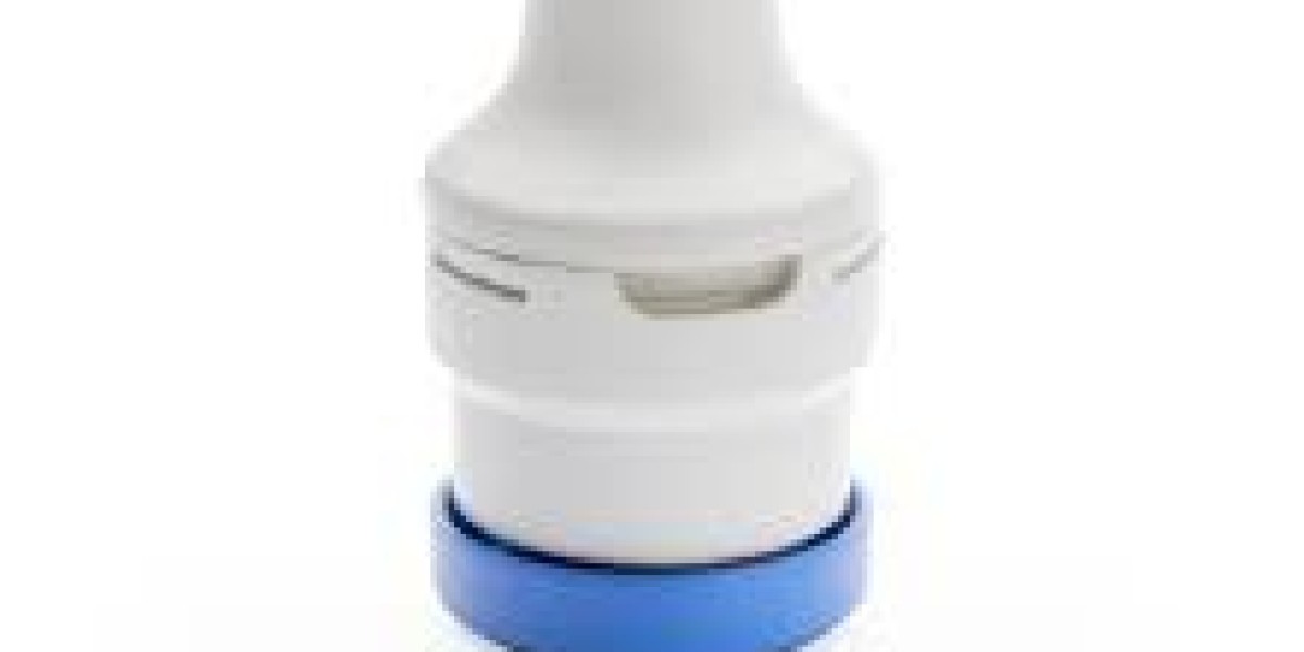 Dry Powder Inhaler Market: Impact of Air Pollution on Inhaler Usage and Demand