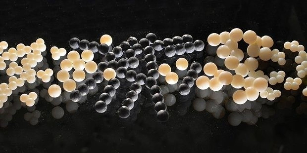 Cerium Oxide Nanoparticles Market: Emerging Applications and Future Growth Potential