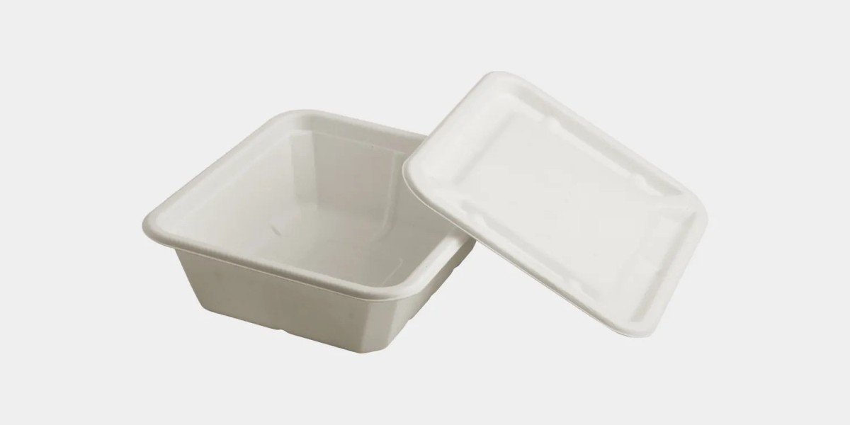 Are Biodegradable Food Containers with Lids Microwave & Freezer Safe? Let’s Put Bagasse to the Test