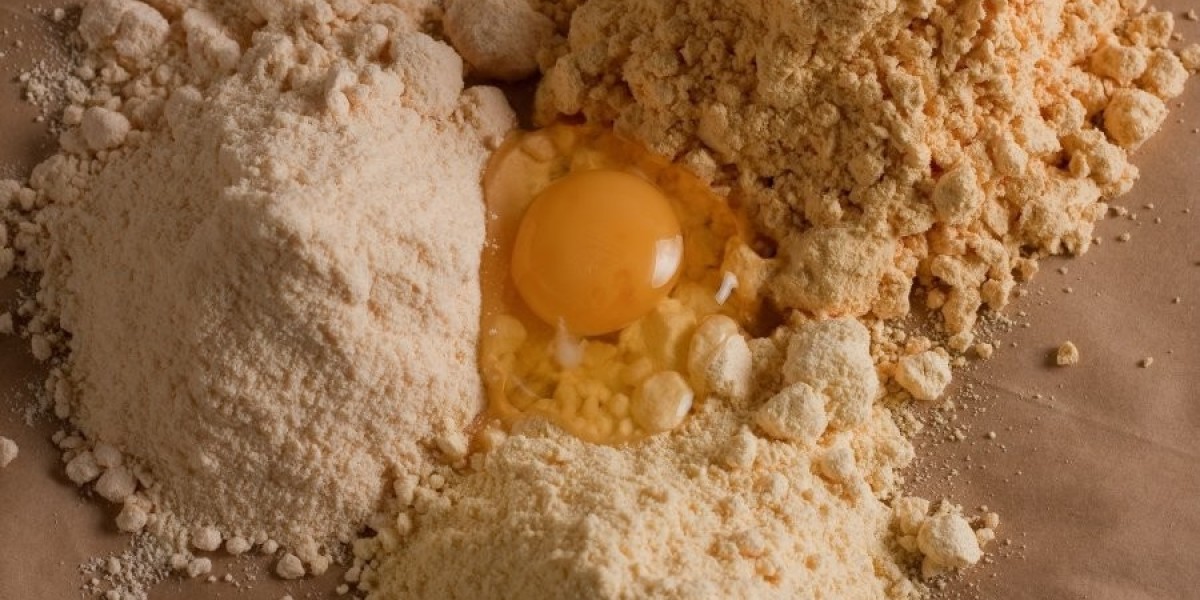 Dried Eggs Market in Europe: Regional Trends and Demand Forecast