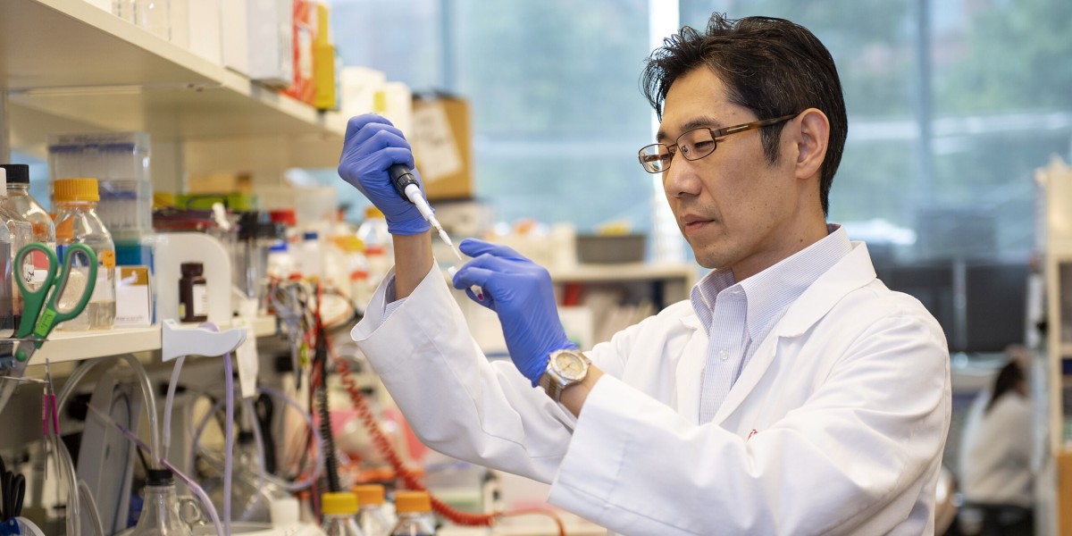 Japan's Fluorochemicals Market Poised for Sustainable Growth Amid Technological Advancements