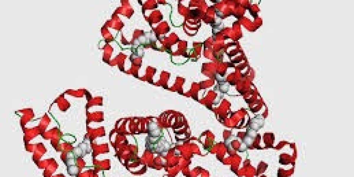 The Expanding Role of Albumin: Key Trends Shaping the Global Market
