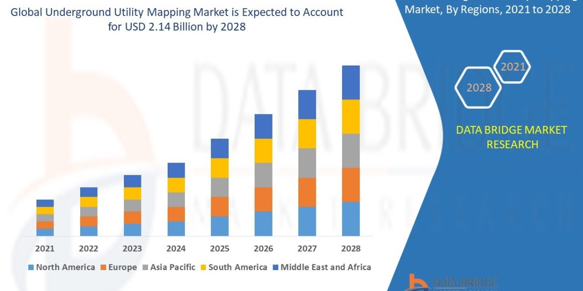 Underground Utility Mapping Market Size, Analysis, and Forecast