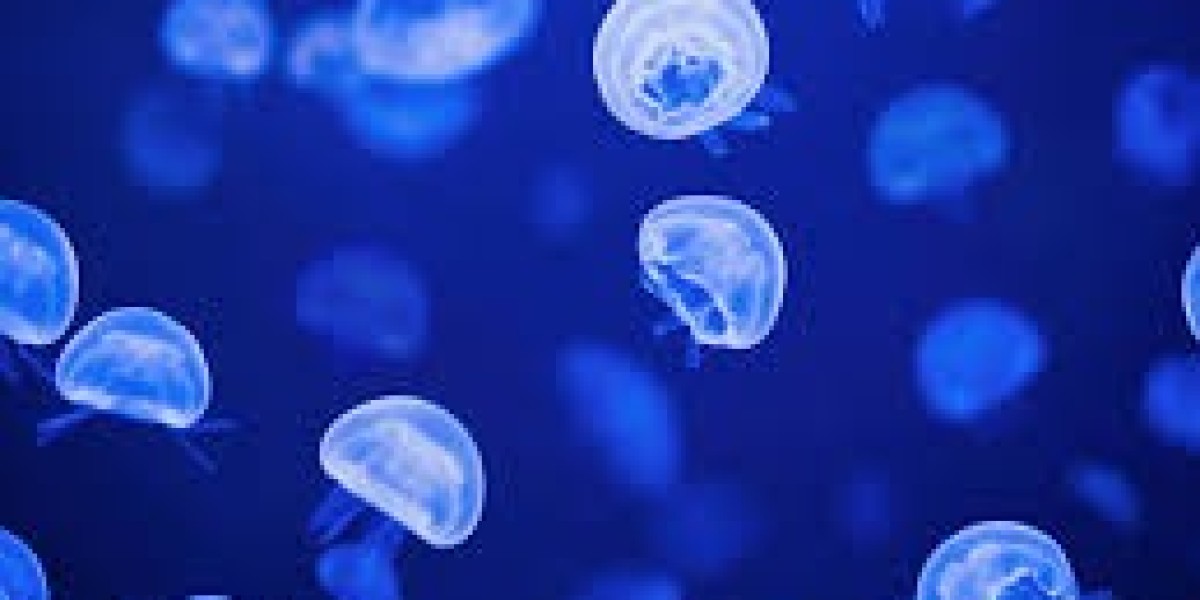 Marine Enzymes Market: Winning Strategies for Sustainable Growth and Competitive Advantage