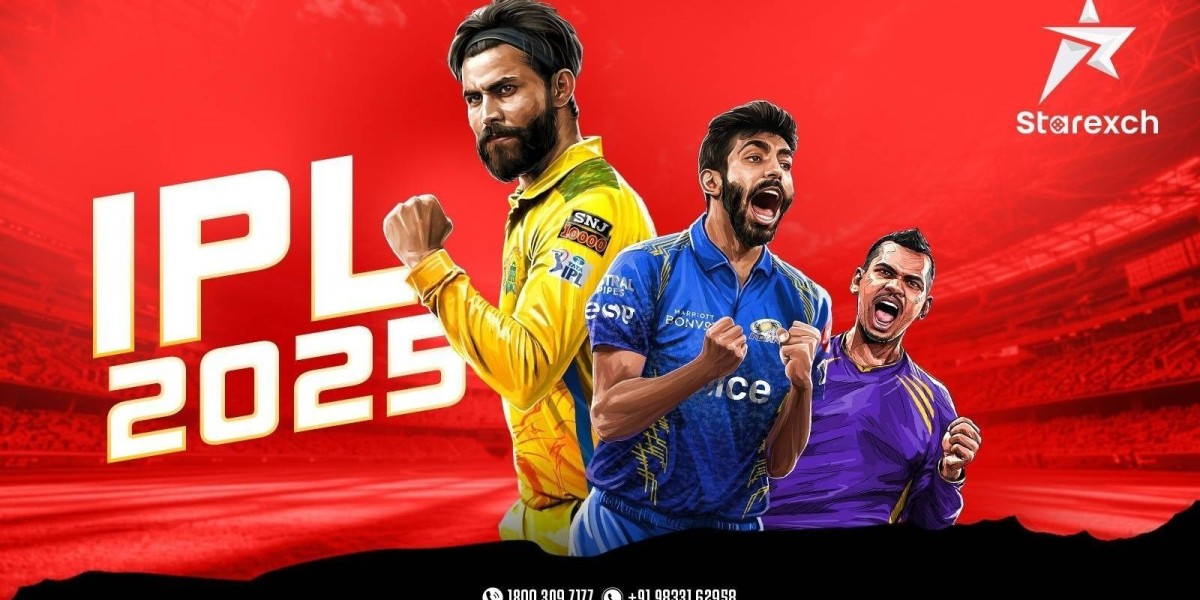 IPL 2025 Postponed: Impact on Fans and Fantasy Players