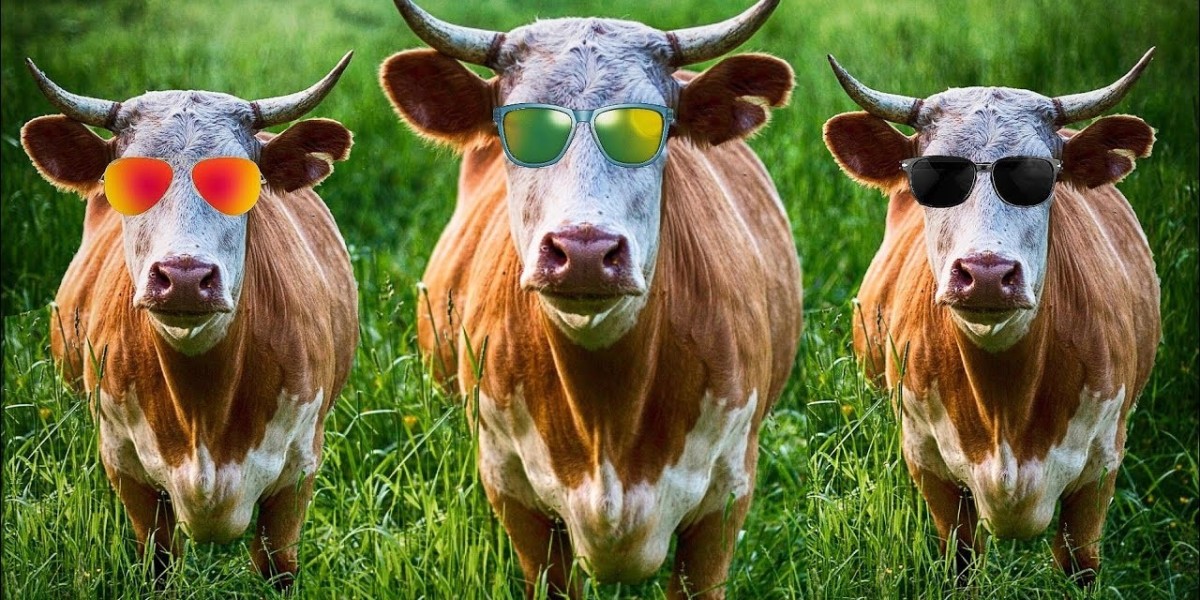 Animal Nutrition Market Review: Strategic Collaborations Accelerate Innovation and Product Portfolio Expansion Among Ind