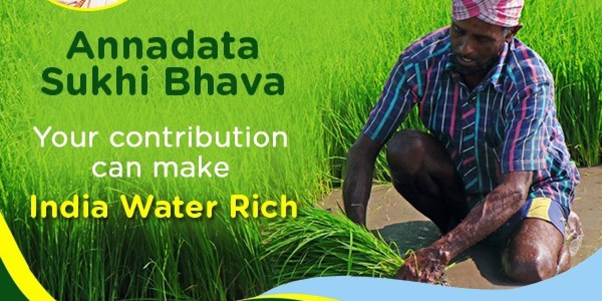 How Groundwater is Recharged: Nature’s Hidden Water Bank
