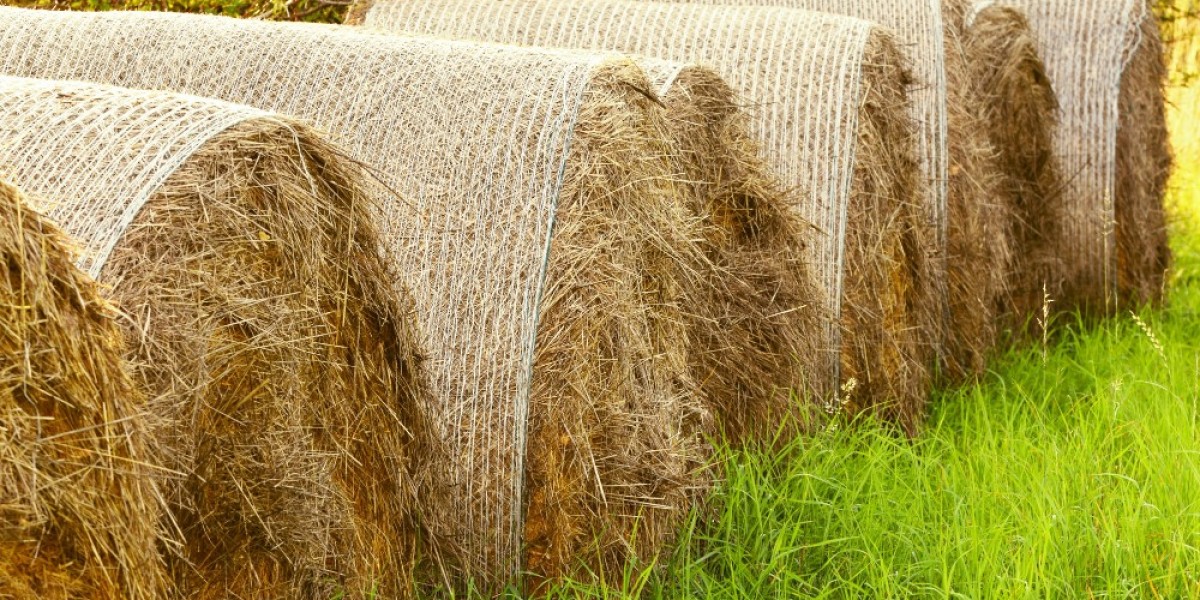 Exploring the Alfalfa Hay Market: Opportunities for Farmers & Exporters