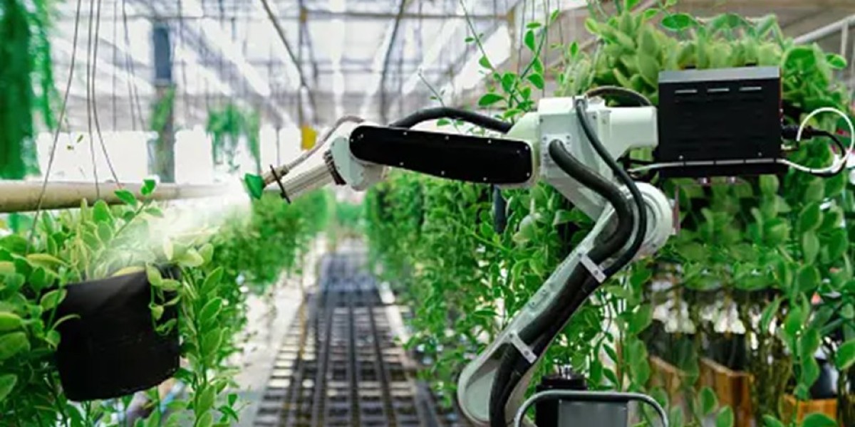 Precision Meets Tradition: Exploring Japan’s Digital Agriculture Market Landscape