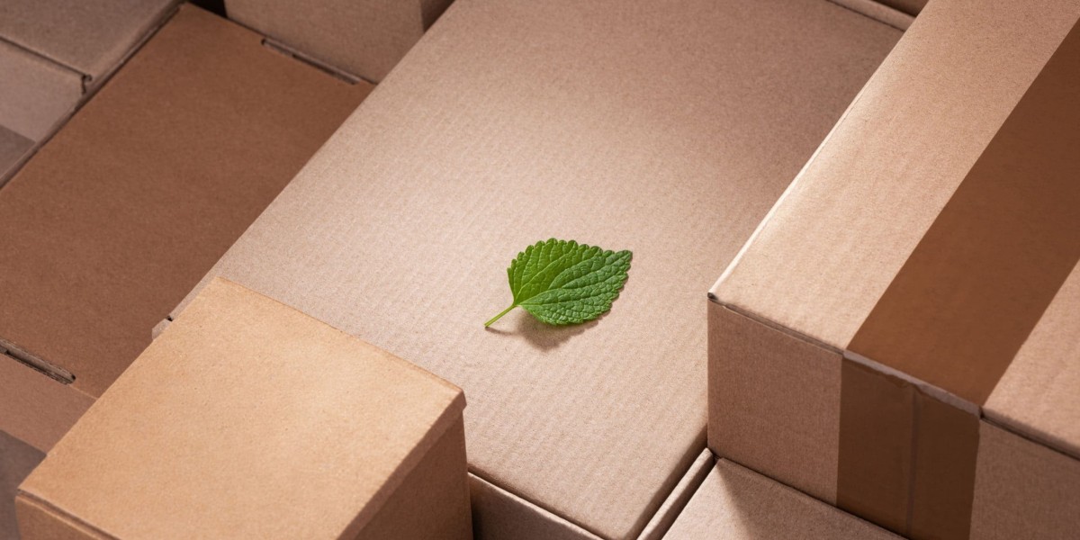 Biodegradable Packaging Materials Market Shaping the Future of Eco-friendly and Sustainable Packaging Options