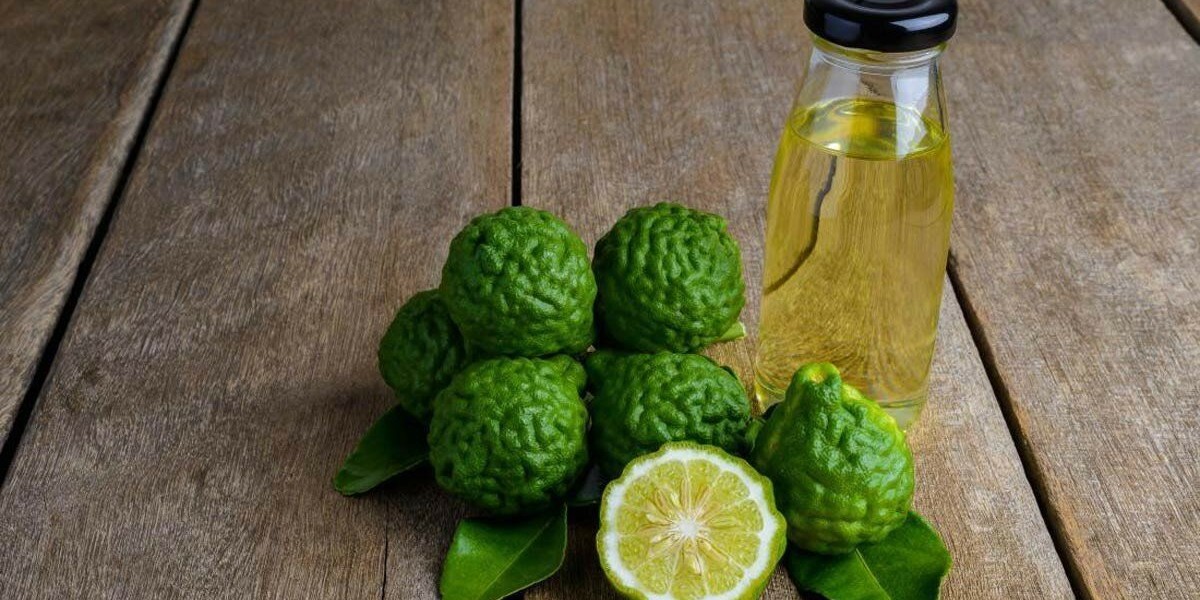 Bergamot Oil Market Set to Flourish Amid Shift Toward Plant-Based and Organic Ingredients