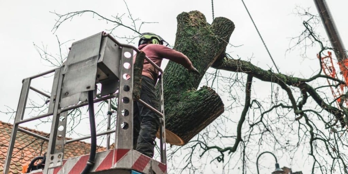 Tree Planting Services: A Complete Guide to Greener Living