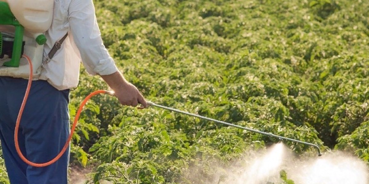 Foliar Fertilizers Market Developments: Innovations in Product Formulations and Their Effect on Fertilizer Efficiency