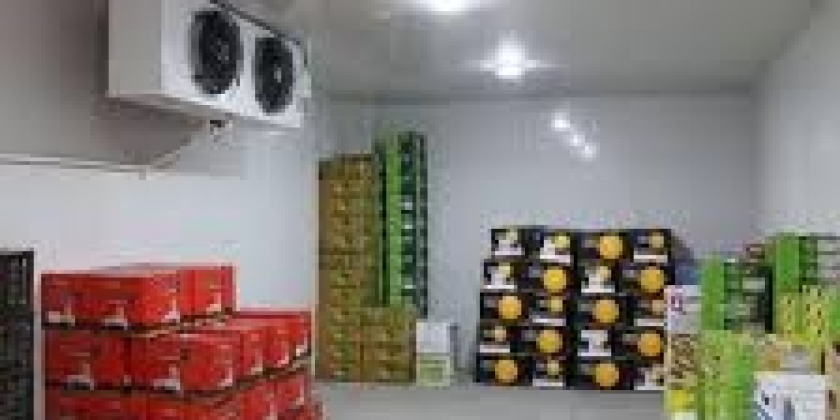 Walk-in Cooler and Freezer Market product advancements improve insulation, reducing energy consumption in commercial spa