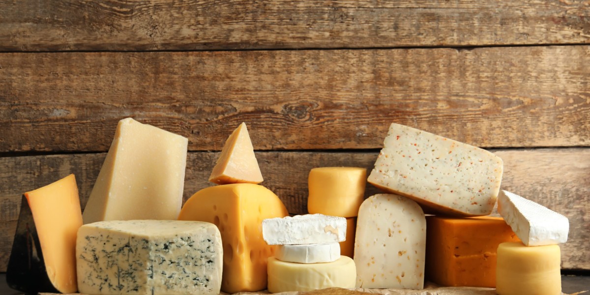 Plant-based Cheese Market Dynamics: Key Forces Shaping Industry Growth