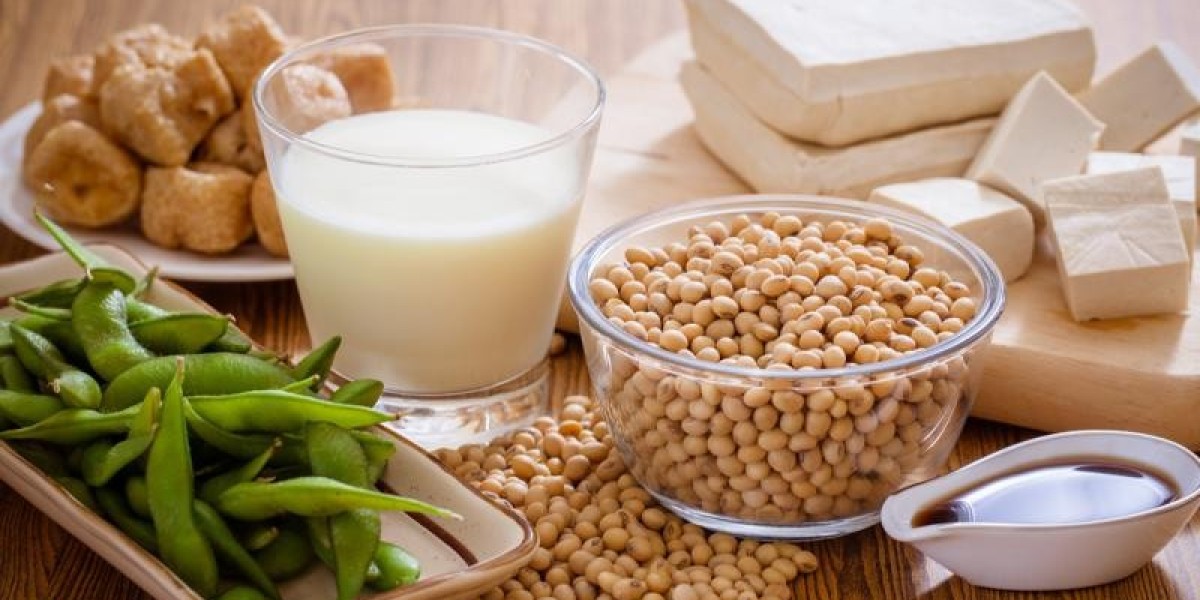 Soy Protein Ingredients Market in Infant Food and Clinical Nutrition 2022–2030
