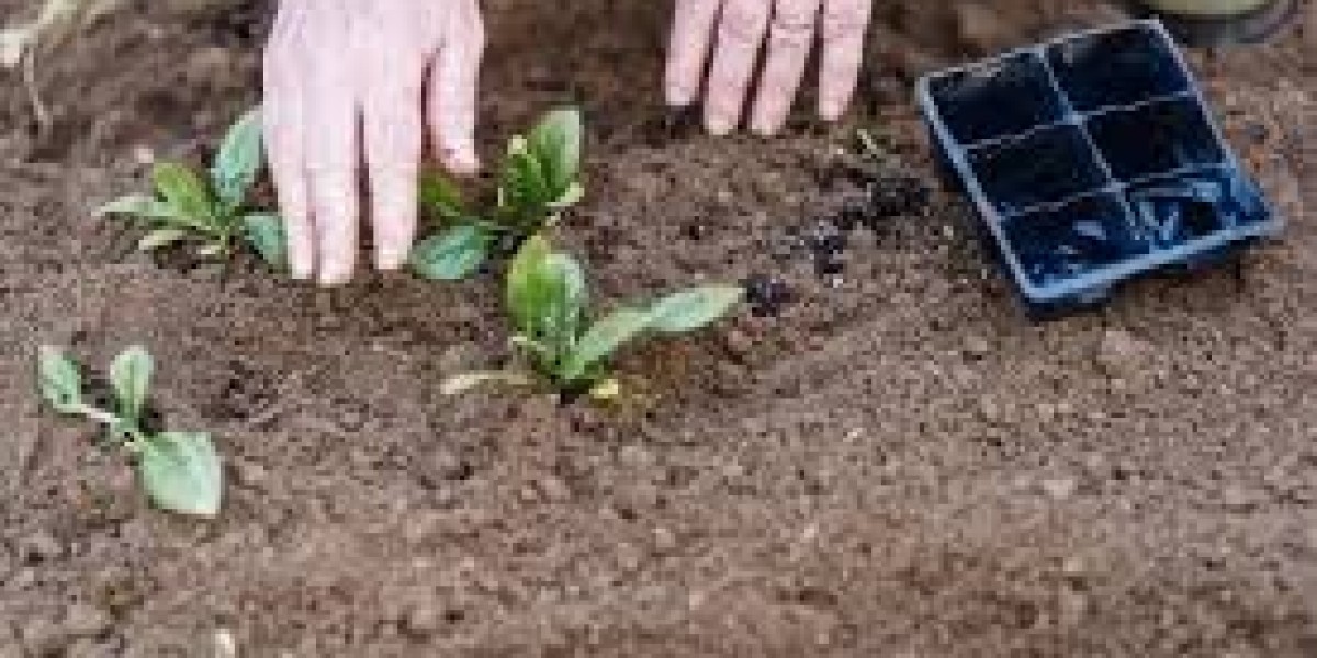 Blood meal fertilizers market demand: How the rise of organic farming is driving blood meal fertilizer adoption