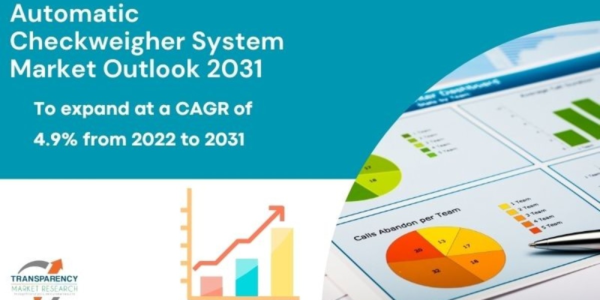Automatic Checkweigher System Market Current and Future Growth Analysis - 2031