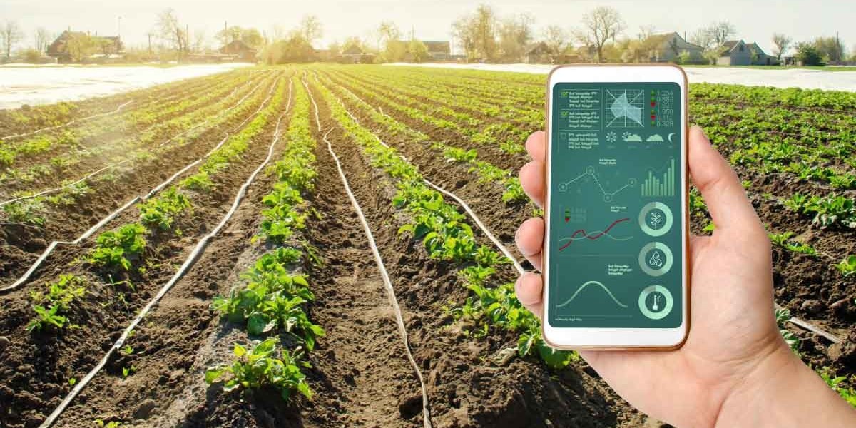 Smart Agriculture Solution Market Forecast: Projected Growth and Technological Advancements Shaping Farming Future