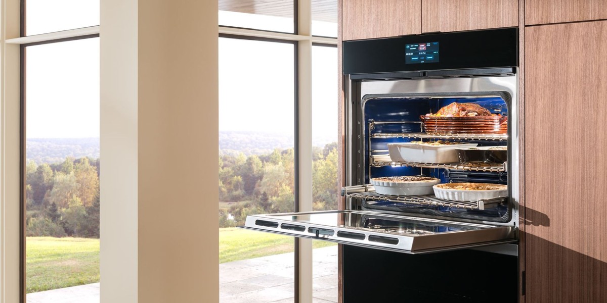 Built-in Oven Market: Key Developments, Innovations, Trends, and Future Growth Insights