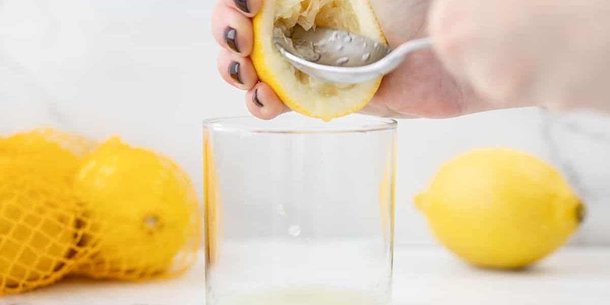 Lemon Extract Market Disruptions: Innovations and Challenges Shaping the Industry