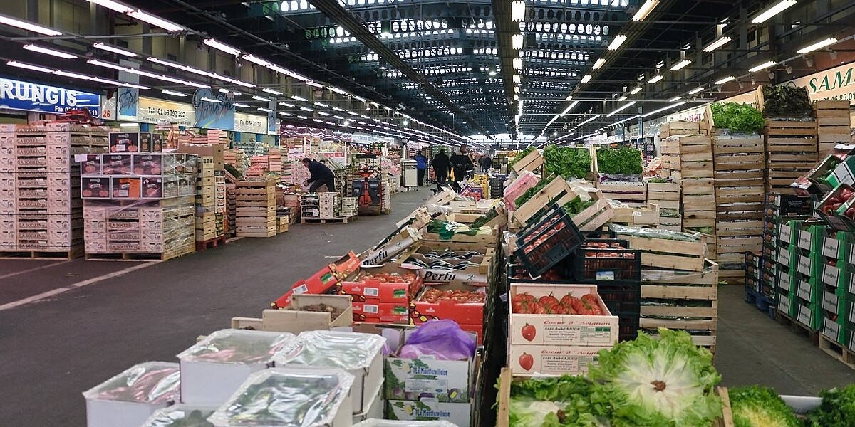 Greenwrap Market Analysis: How Greenwrap Is Meeting the Needs of Environmentally Conscious Consumers and Businesses