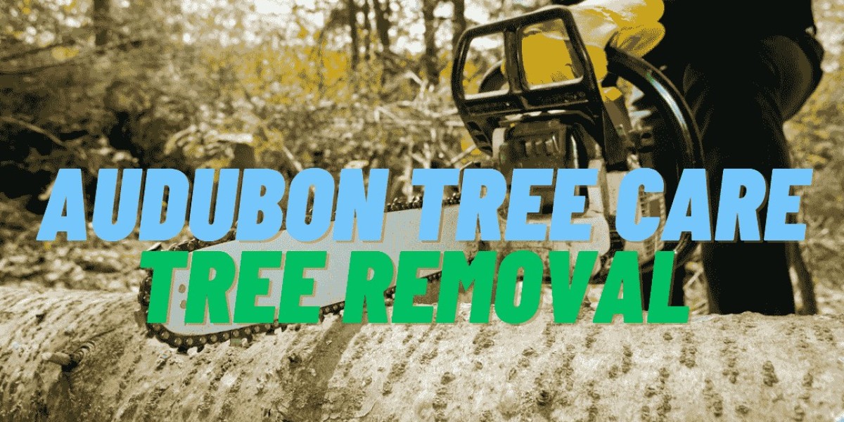 Expert Tree Service in New Orleans: Audubon Tree Care Leads the Way