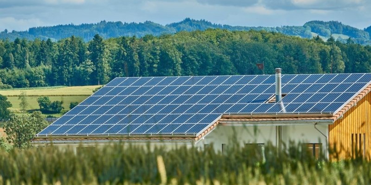 Benefits of Integrating Solar Panels in Agriculture