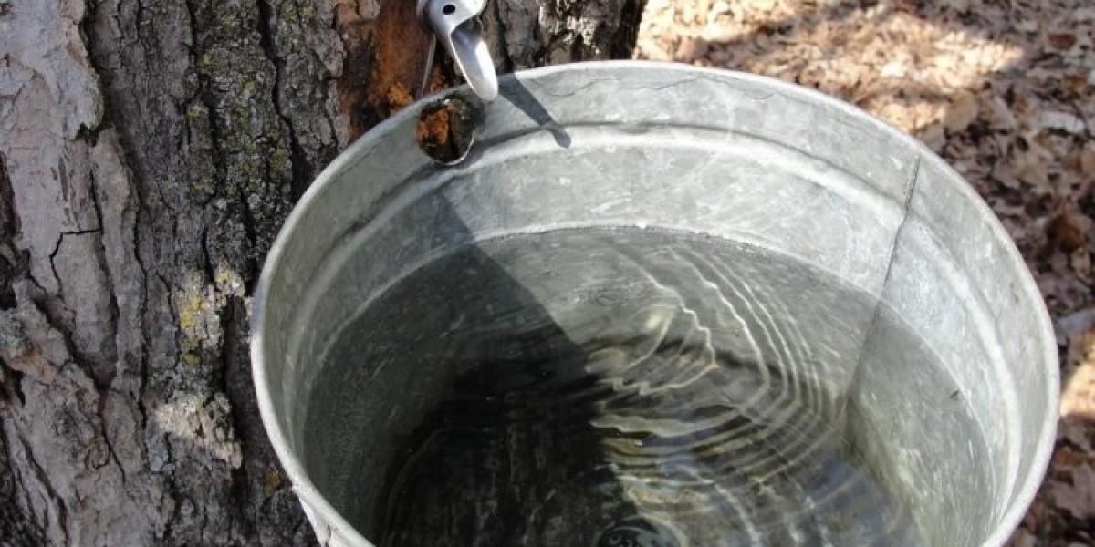 Maple Water Market Opportunities: Health Trends, Global Reach, and Innovation Potential