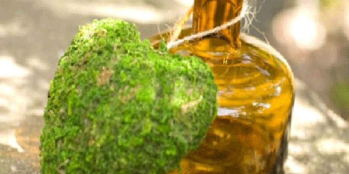 Algae Oil Market Dynamics: Key Growth Drivers, Emerging Trends, Challenges, and Future Opportunities Ahead