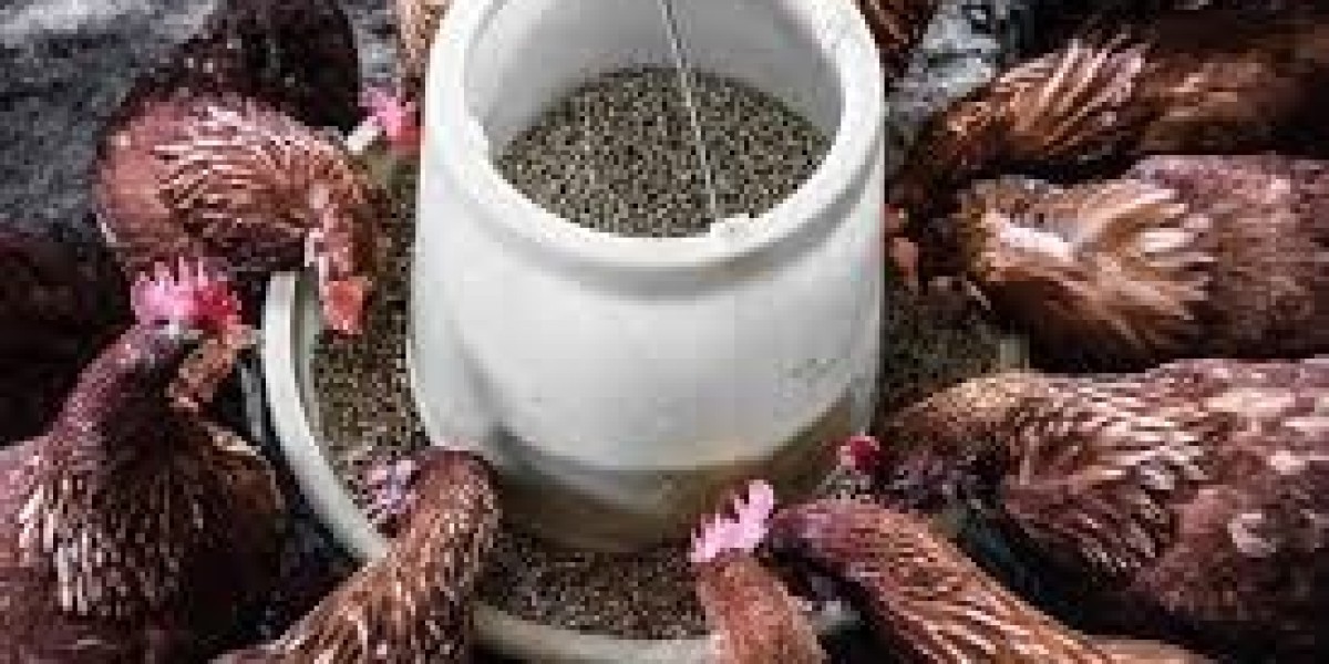 Poultry Feed Market Winning Strategies: Proven Approaches Driving Global Competitive Success