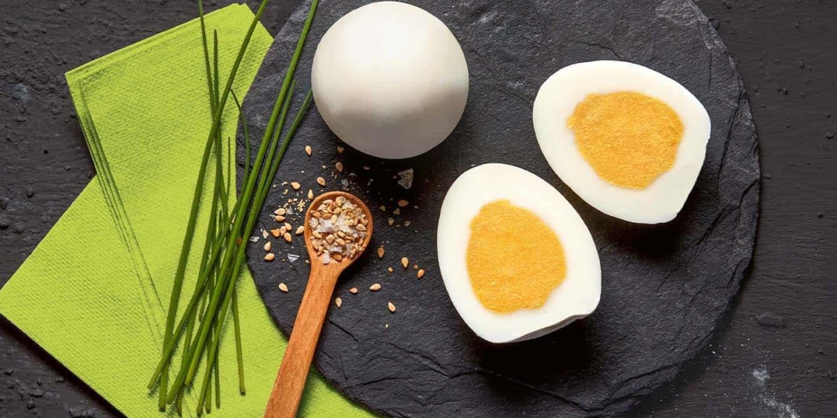 Plant Based Eggs Market Scenario: Current Landscape and Near-Term Outlook Across Global Regions