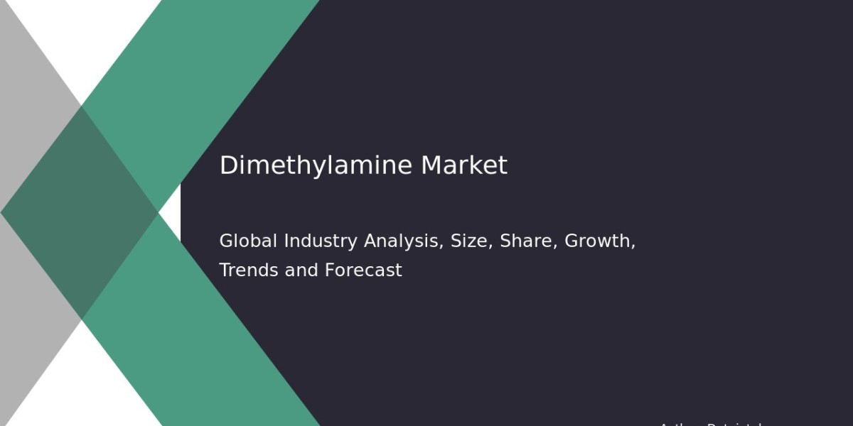 Dimethylamine Market Investment Outlook and Forecast 2032