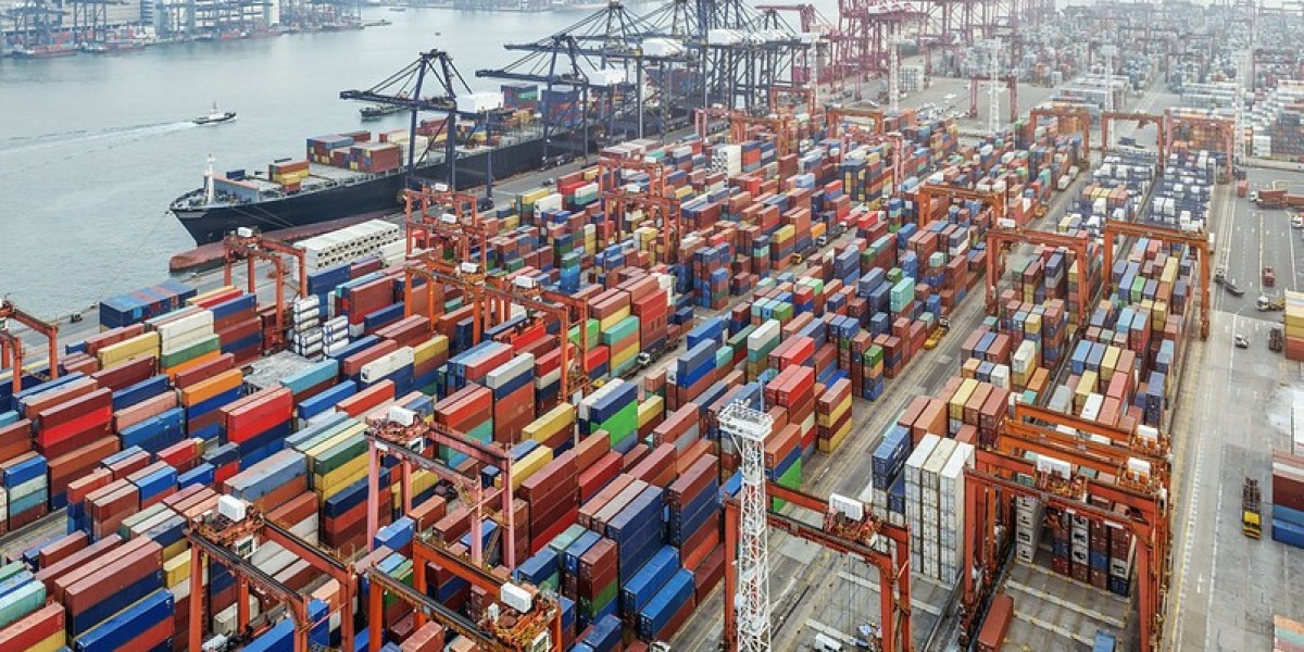 PUR Shippers Market Demand: Rising Need for Secure and Reliable Shipping Solutions in Healthcare Sector
