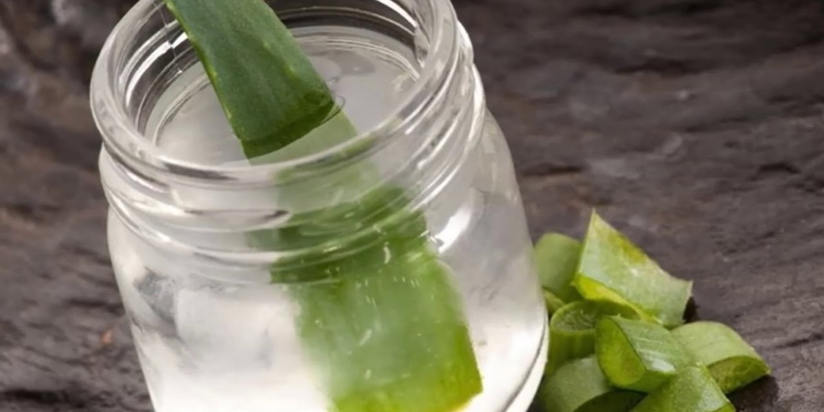 Aloe Vera Juice Market: Exploring the Growing Potential, Trends, Opportunities, and Challenges