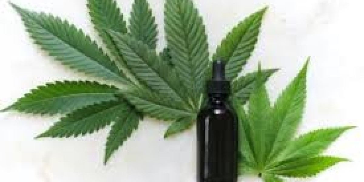 Cannabis Analyser Market Analysis: Strategic Insights for Stakeholders in a Rapidly Evolving Industry