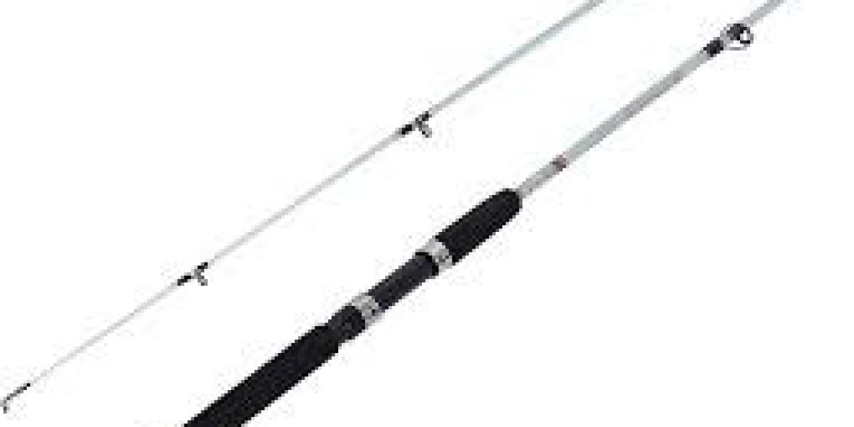 Fishing Rods Market analysis finds increasing youth engagement driving online rod sales