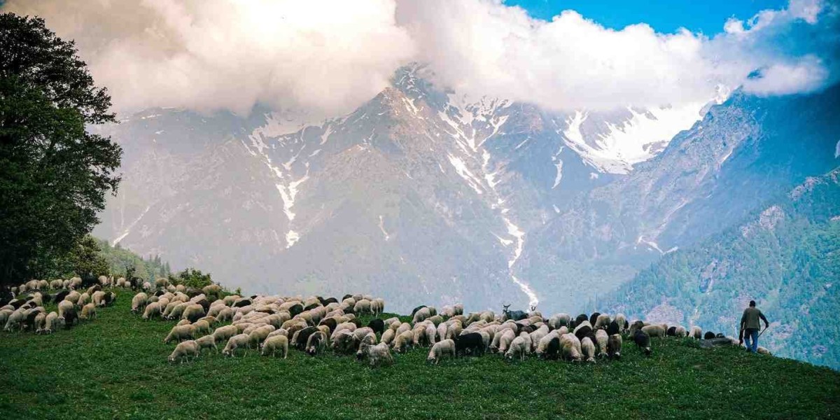 Swat: A Symphony of Rivers, Mountains, and Meadows