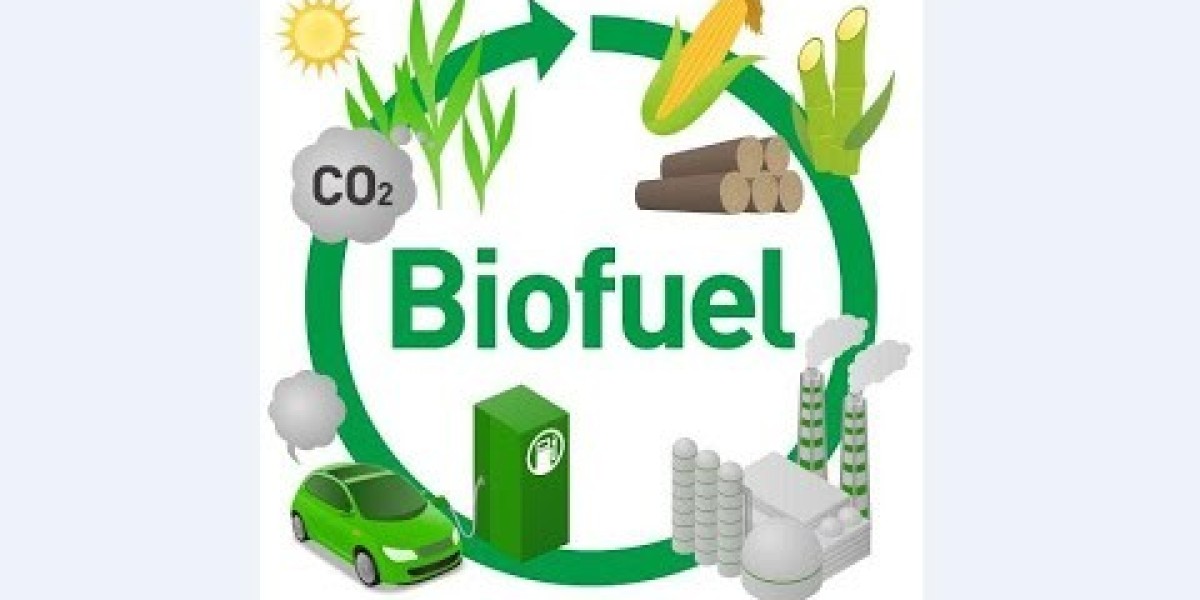 Biofuels Market Summary Highlighting Key Trends, Challenges, and Opportunities in Renewable Energy Sector
