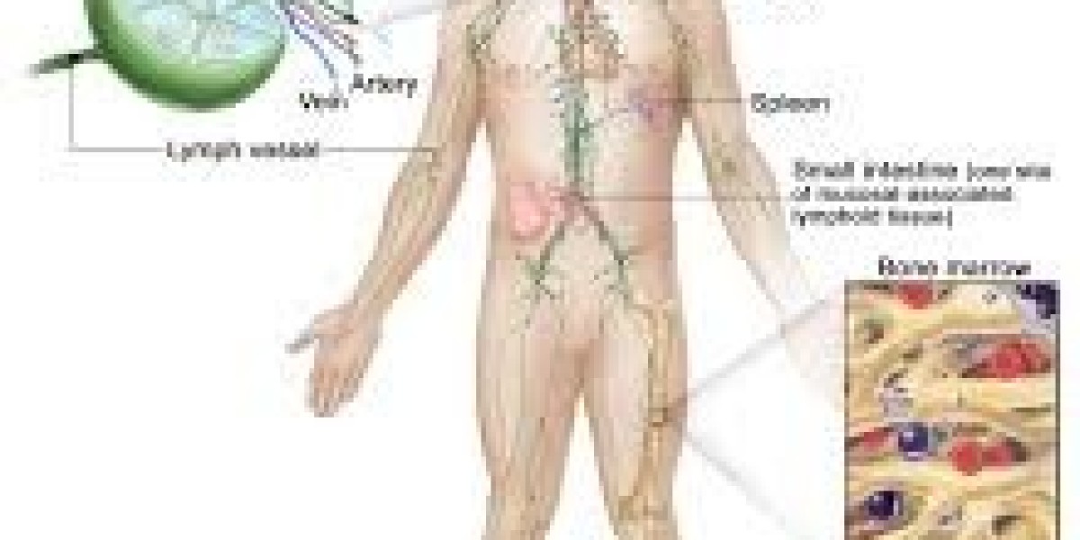 Non-Hodgkin Lymphoma Therapeutics Market: Current Trends and Future Outlook