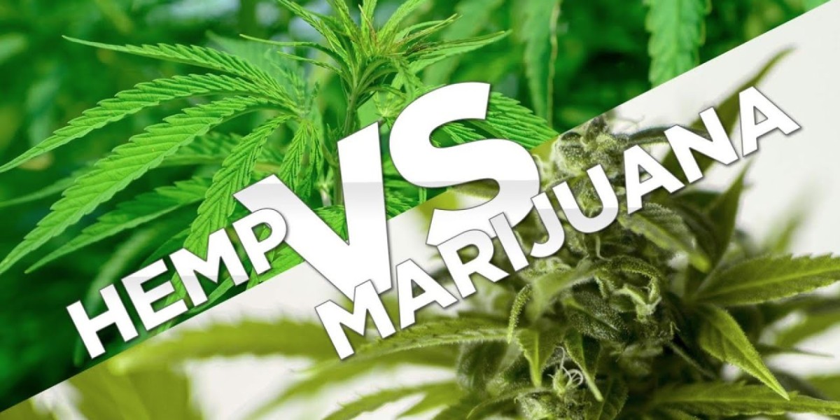 Hemp vs Marijuana