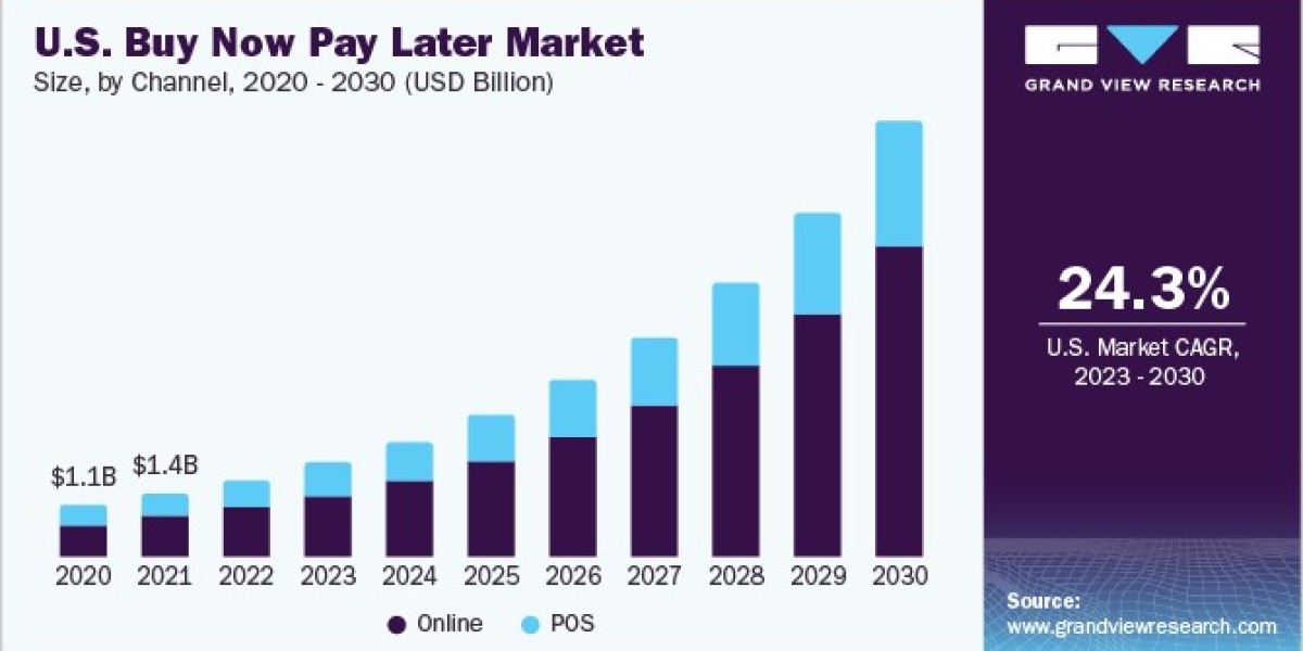 Buy Now Pay Later Market 2030: The Role of Data Analytics in Risk Management