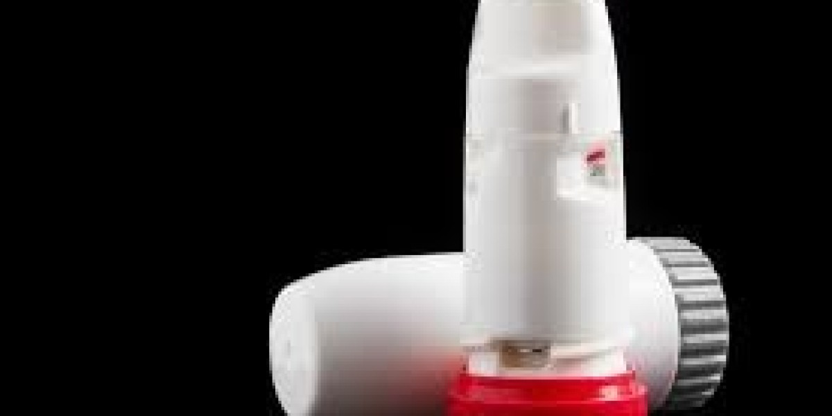 Dry Powder Inhaler Market Performance Reflects Increased Focus on Improving Patient Outcomes and Accessibility