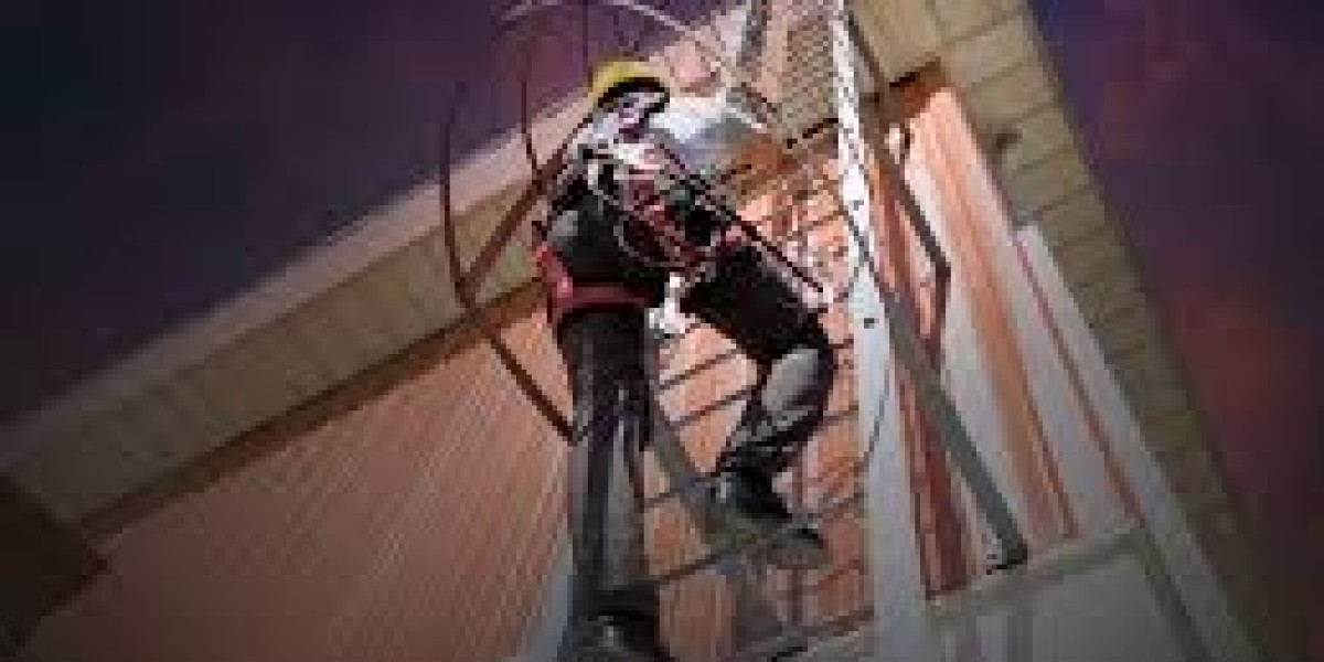 Product Fall Protection Systems Market Winning Strategies for Sustainable Growth