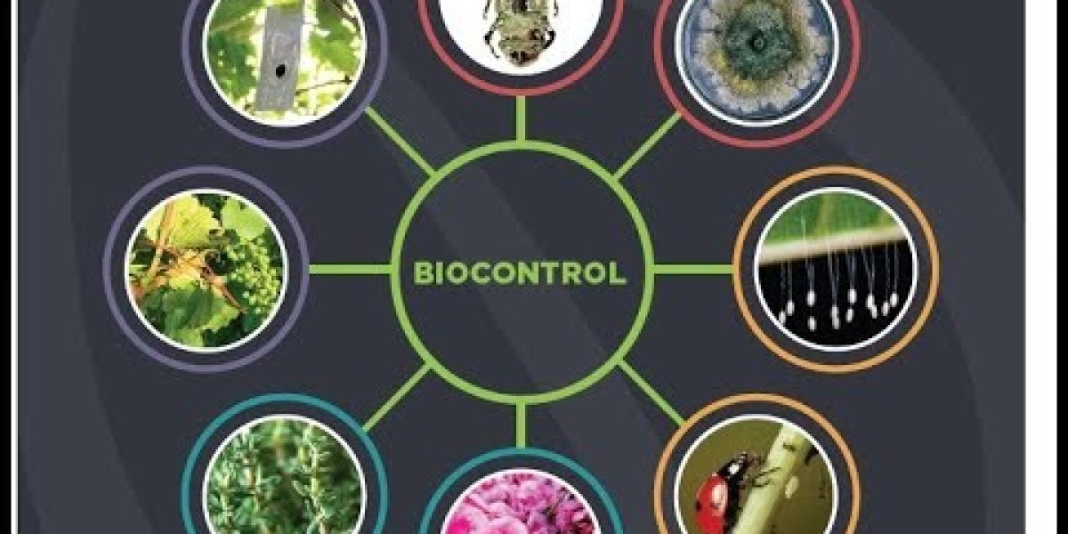 Biocontrol Agents Market Dynamics Shaping Sustainable Agriculture and Pest Management Innovations Globally