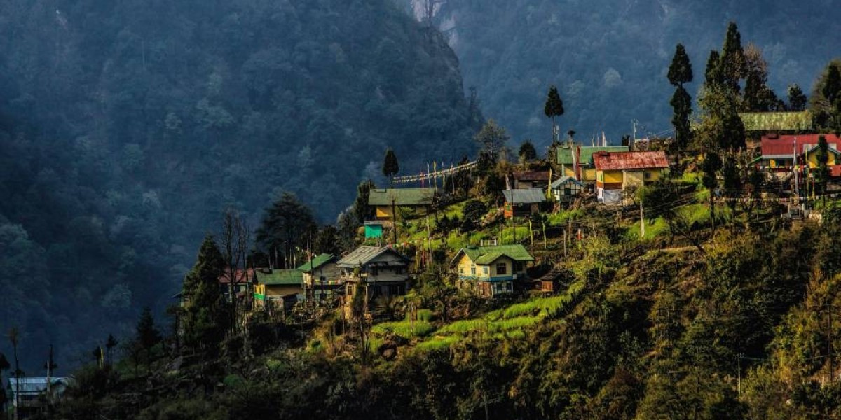 Darjeeling Tour Packages from Delhi for Nature and Tea Lovers