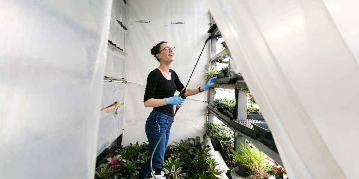 The Importance of Exterior Cleaning and How Exterior Cleaning Services Elevate Your Property