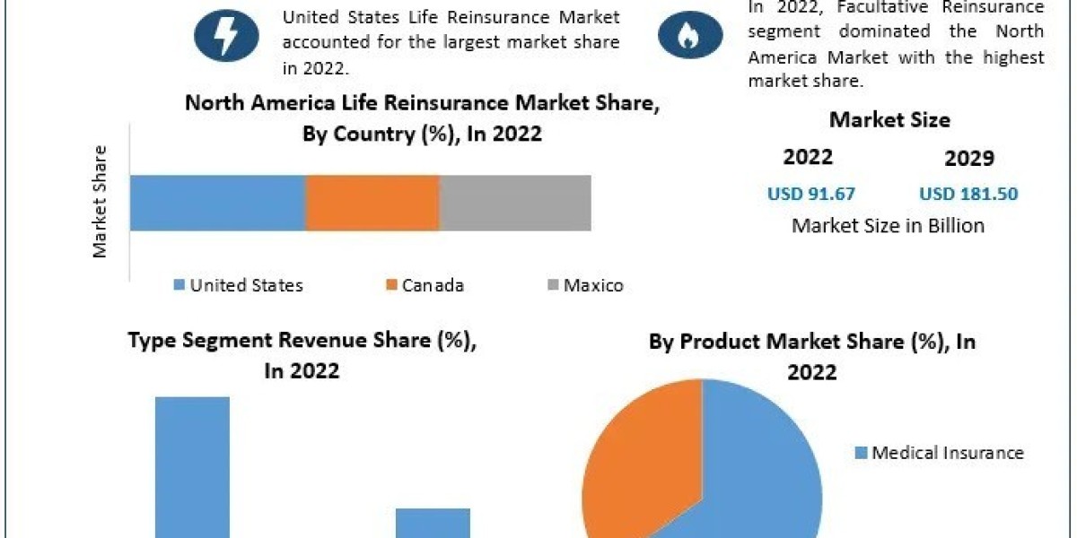 North America Life Reinsurance Market Growth Growth Trends With Detailed Forecast  2029